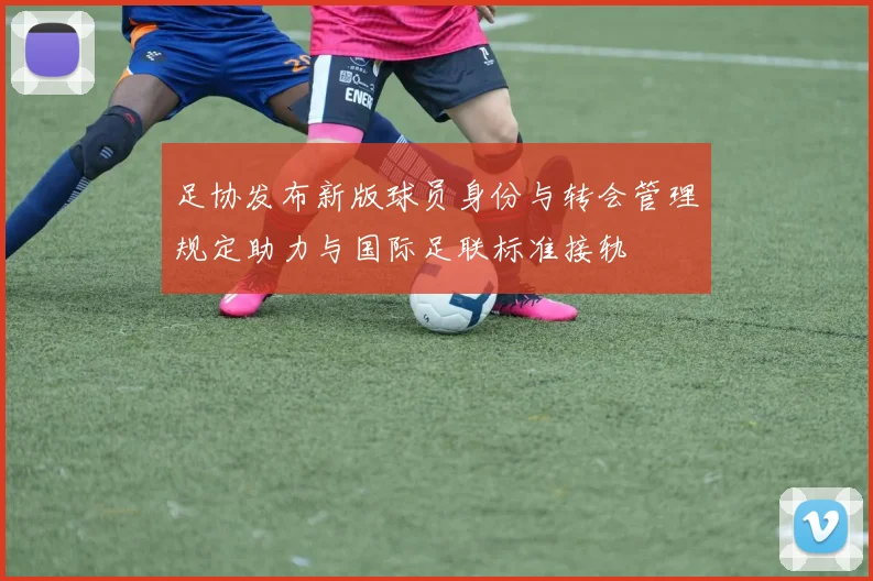 足协发布新版球员身份与转会管理规定助力与国际足联标准接轨