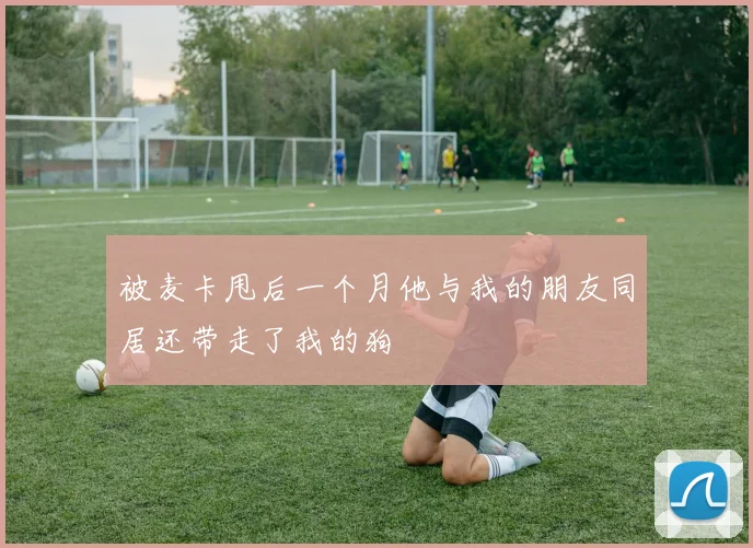 被麦卡甩后一个月他与我的朋友同居还带走了我的狗